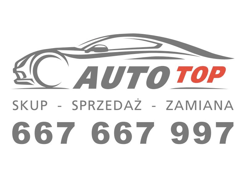 Logo Auto Top